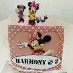Girls Themed Cakes